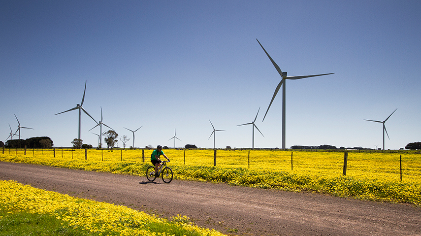 Wind farm generates jobs now energy soon Powerlink